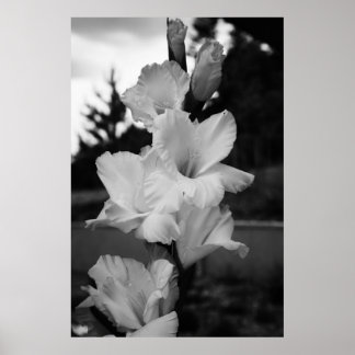 Póster poster de flores boda