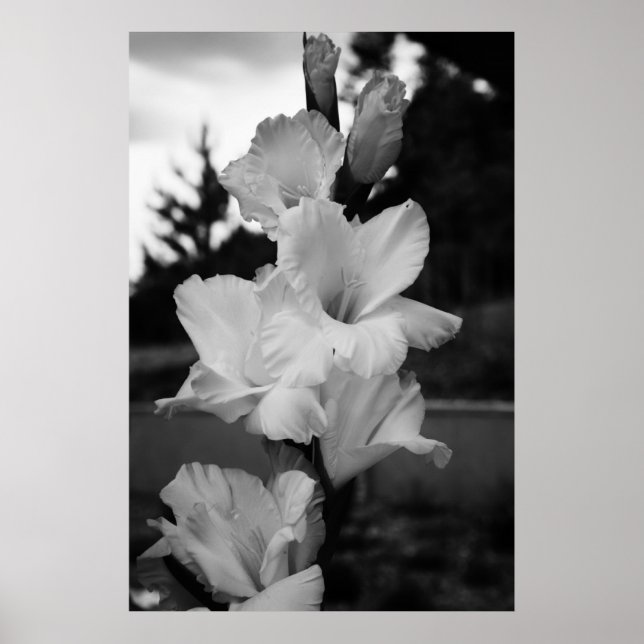Póster poster de flores boda (Frente)