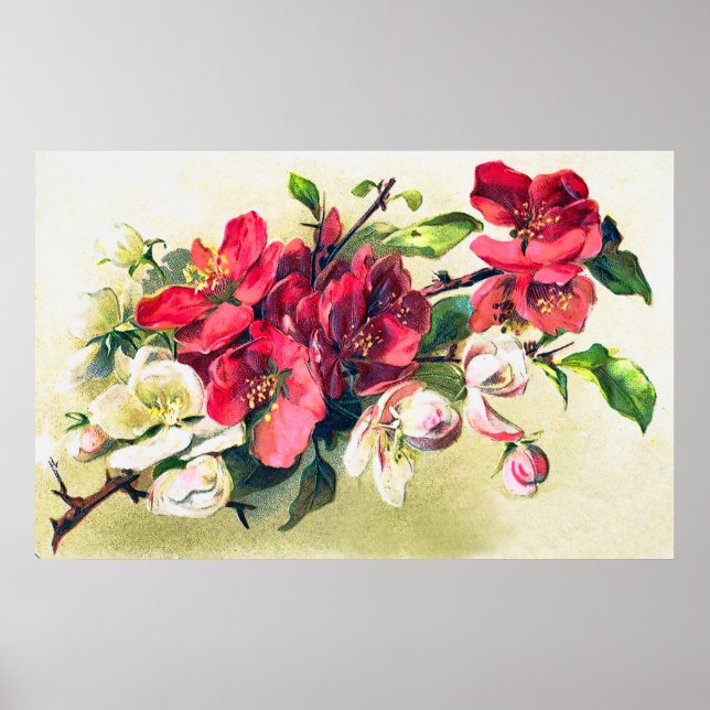 Póster Poster de flores de Apple (Frente)