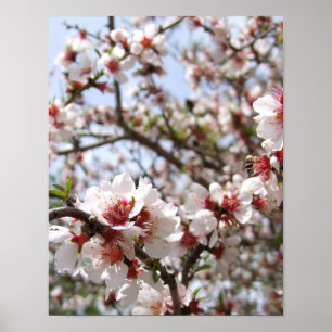 Póster Poster de flores de árbol rosa