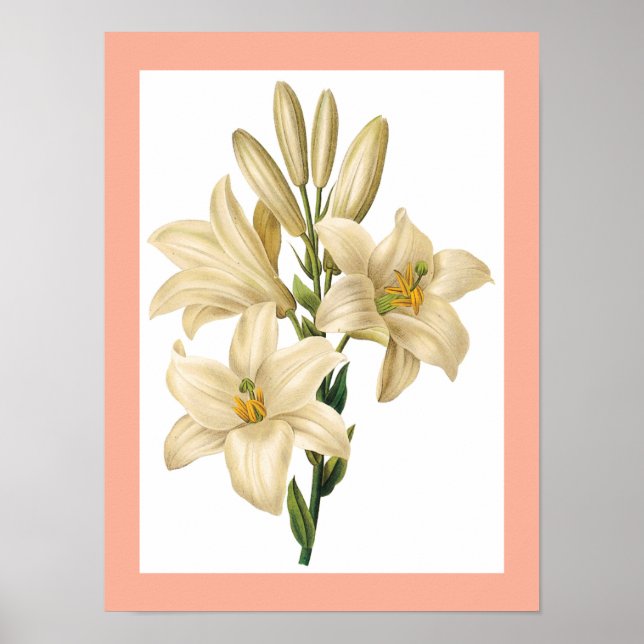 Póster Poster de flores de cosecha 1 (Frente)