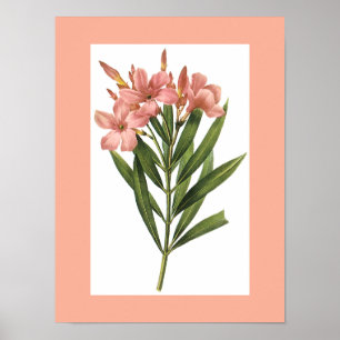 Póster Poster de flores de cosecha 3