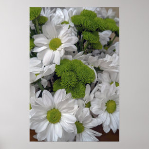 Póster Poster de flores de crisantemo