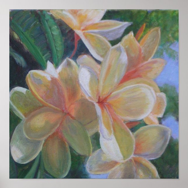 Póster Poster DE FLORES DE HAWAIAN (Frente)