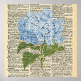 Póster Poster de flores de hidrangea azul del diccionario