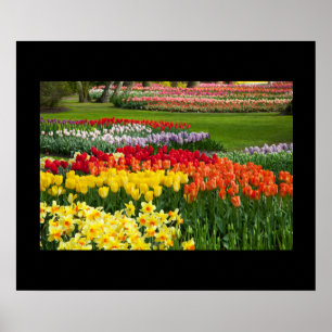 Póster Poster de flores de jardín