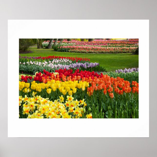 Póster Poster de flores de jardín (Frente)