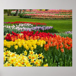 Póster Poster de flores de jardín