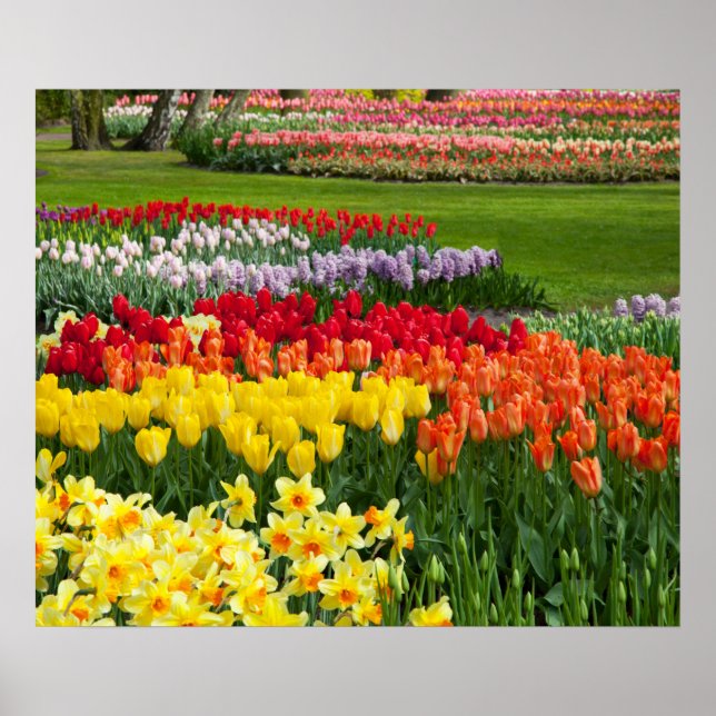 Póster Poster de flores de jardín (Frente)