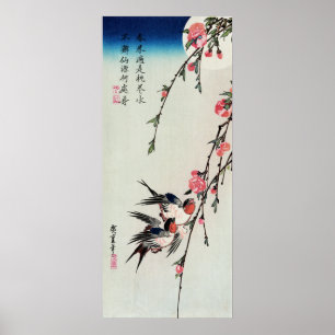 Póster Poster de flores de la luna, de la golondrina y de