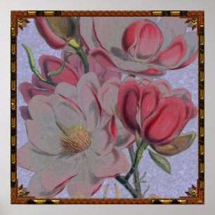 Póster Poster de Flores de Magnolia