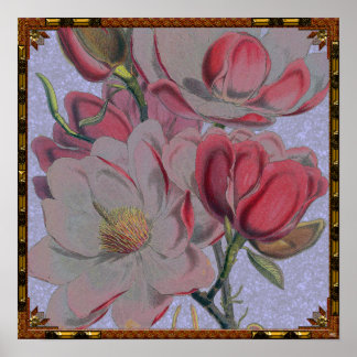 Póster Poster de Flores de Magnolia