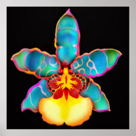 Póster Poster de flores de orquídeas de color fantasía