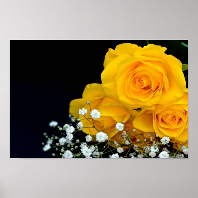 Póster Poster de flores de rosas amarillas (Frente)