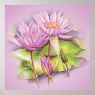 Póster Poster de flores moradas de lirio de agua