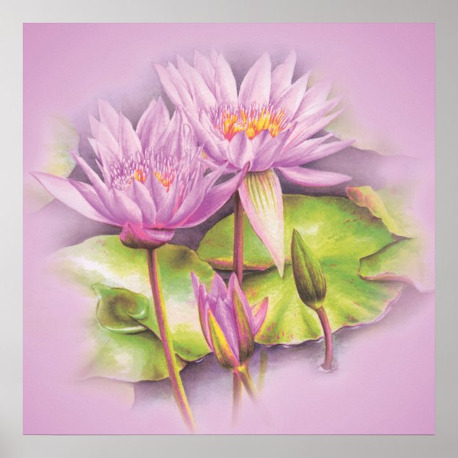 Póster Poster de flores moradas de lirio de agua (Frente)