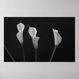 Póster Poster de flores negras y blancas