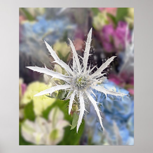 Póster Poster de flores único (Frente)