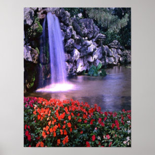 Póster Poster de flores y limosinas coloridas
