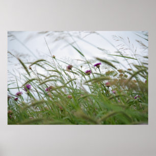 Póster Poster de flores y malezas