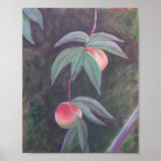PÓSTER POSTER DE FLORIDA PEACHES