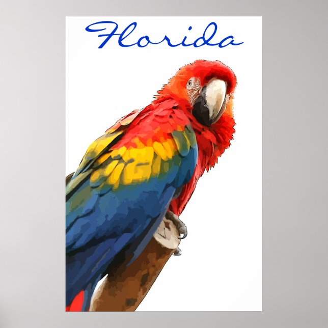 Póster Poster de Florida Scarlet Macaw (Frente)
