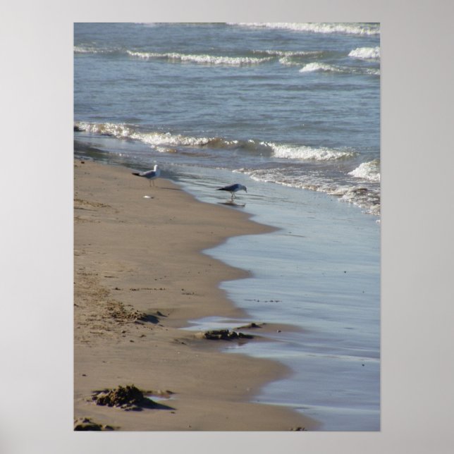 Póster Poster de Foster Beach (Frente)