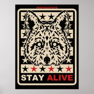 Póster Poster de Fotocoyote 2014 1