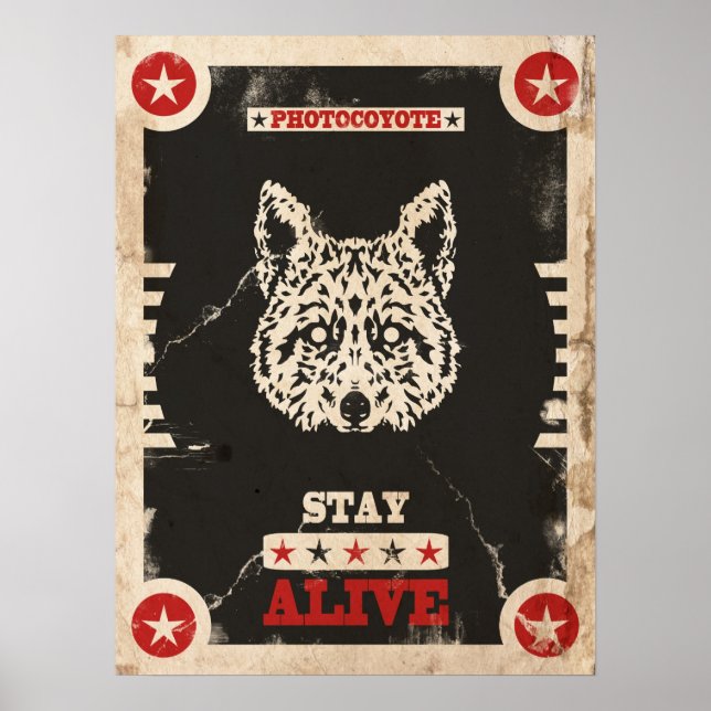 Póster Poster de Fotocoyote 2014 3 (Frente)