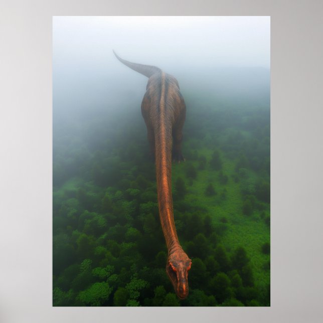 Póster Poster de fotografía aérea del bosque (Frente)