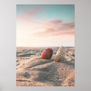 Póster Poster de fotografía de Beach Sunset Sea Shell Bea
