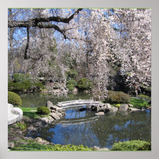 Póster Poster de fotografía de jardín japonés