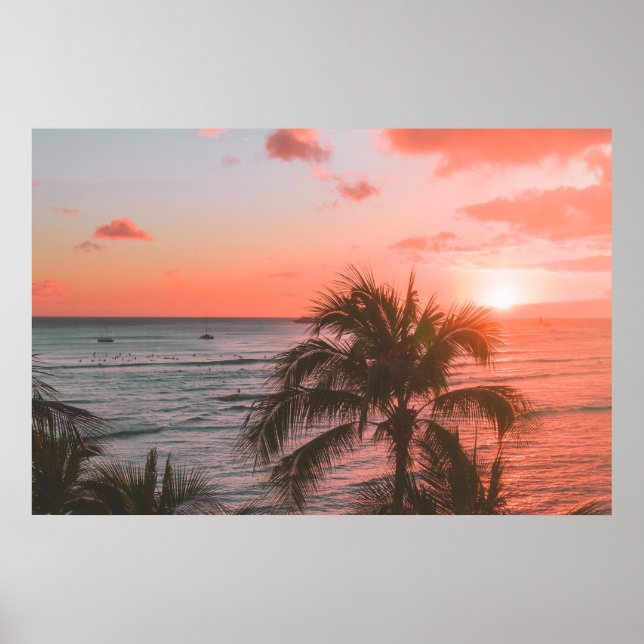 Póster Poster de fotografía de la palma de la palma marin (Frente)