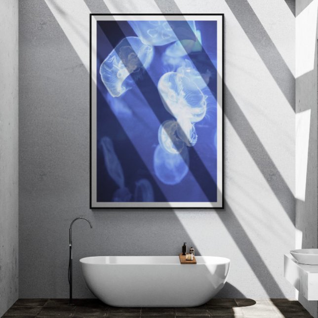 Póster Poster de fotografía de las medusas oceánicas (Subido por el creador)
