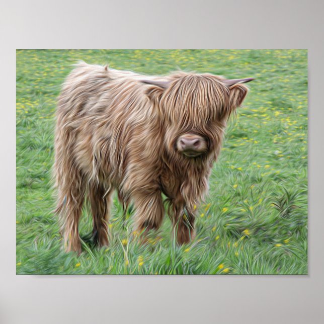 Póster Poster de fotografía de vaca de Escocia Highland (Frente)