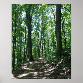 Póster Poster de fotografía forestal