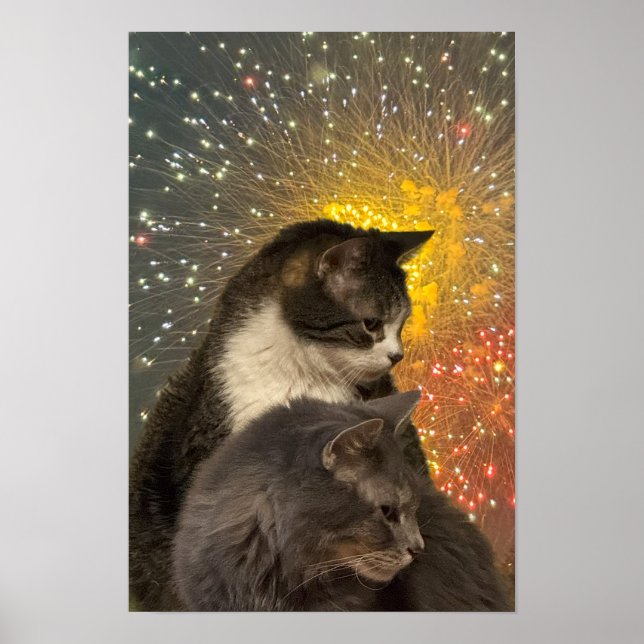 Póster Poster de fotos de gatos (Frente)