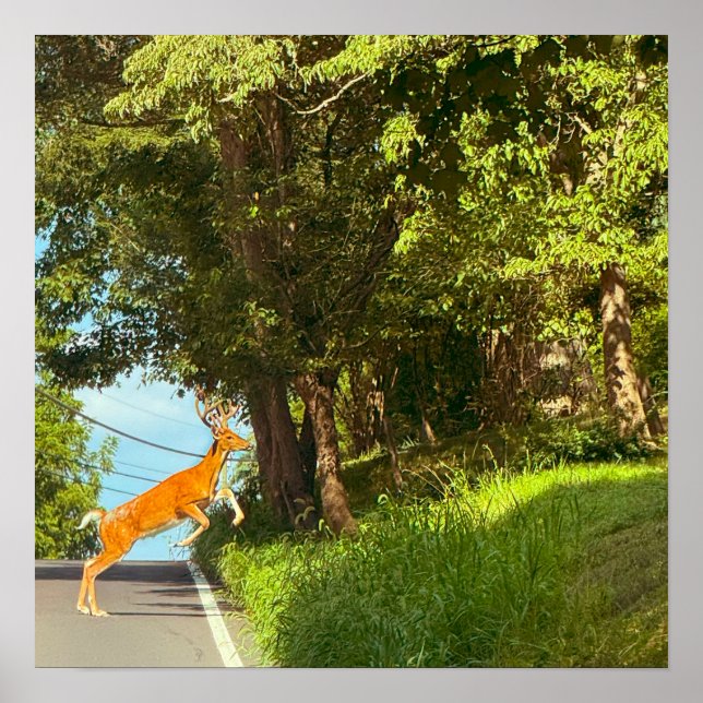 Póster Poster de fotos de salto de ciervo (Frente)
