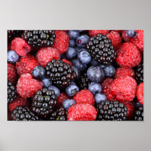 Póster Poster de frambuesa de arándano azul de Berries
