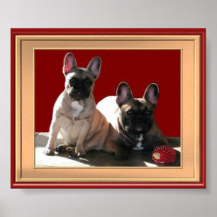 Póster Poster de Französische Buldoggen