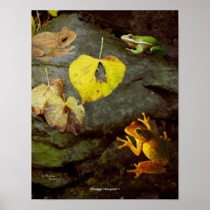 Póster Poster de Frog Hangout