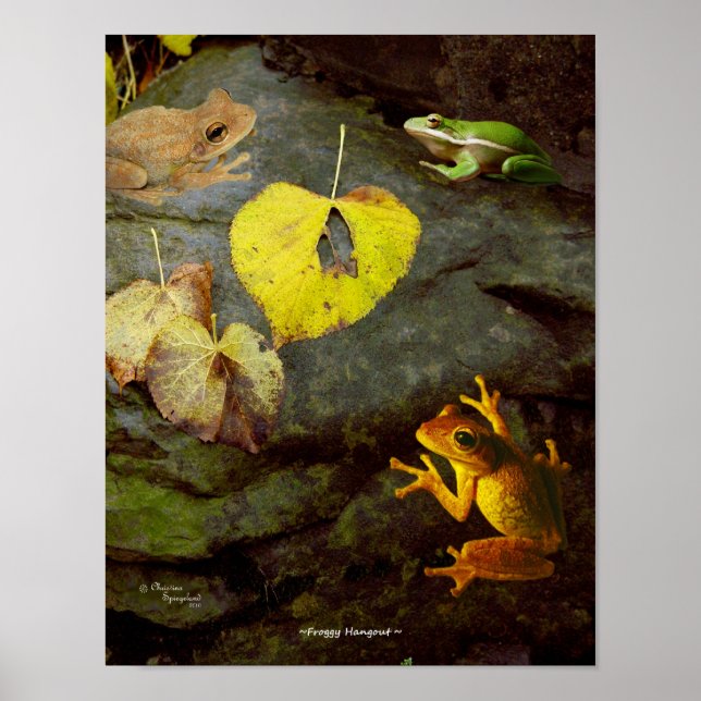 Póster Poster de Frog Hangout (Frente)