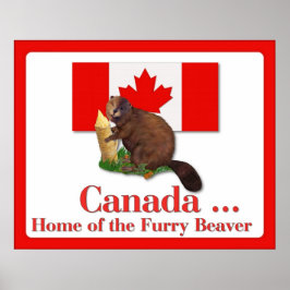 Póster Poster de Furry Beaver