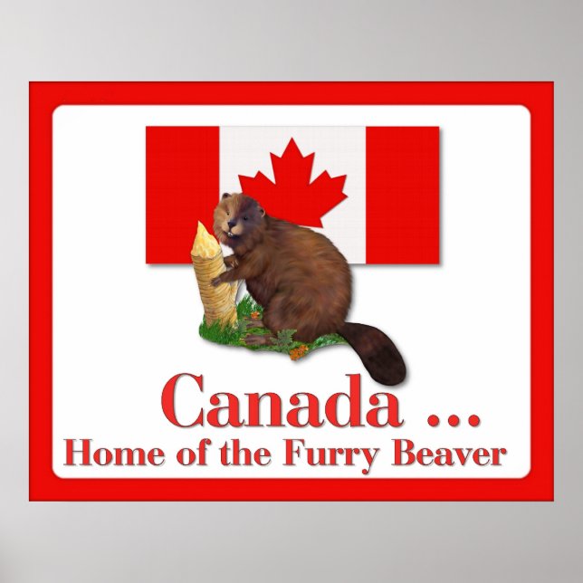 Póster Poster de Furry Beaver (Frente)