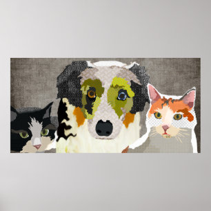 Póster Poster de Furry Friends
