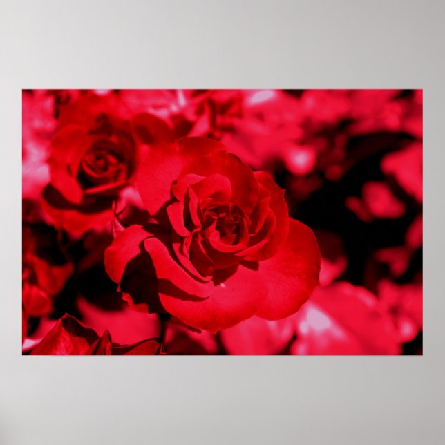 Póster Poster de gafas de color Rosa (Frente)