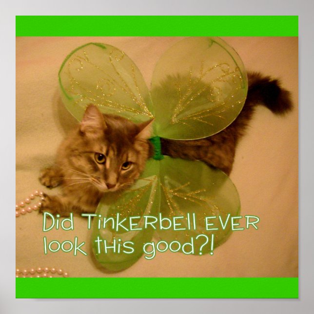 Póster Poster de gato (Frente)