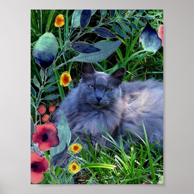 Póster Poster de gato azul ruso, flautista y de larga dur (Frente)