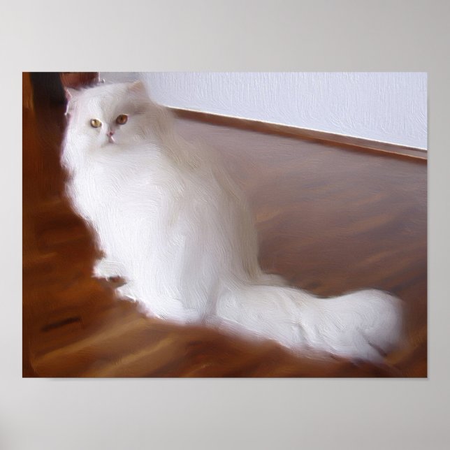 Póster Poster de gato blanco persa (Frente)