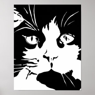Póster Poster de gato blanco y negro